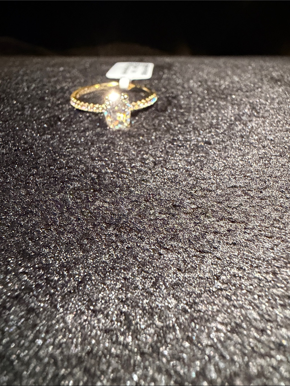 Brand New Gold Solitaire CZ Ring with Pavé Band